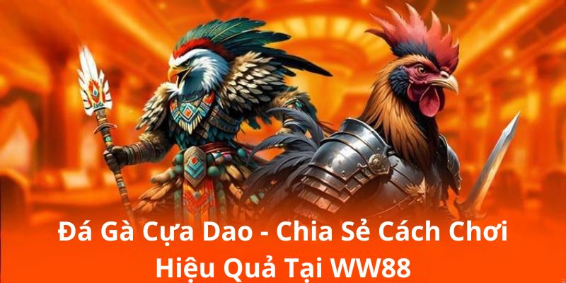 Đá Gà Cựa Dao - Chia Sẻ Cách Chơi Hiệu Quả Tại WW88