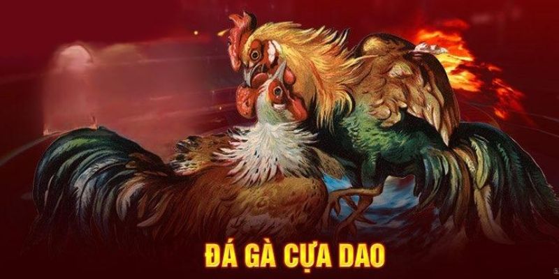 Đôi nét về đá gà cựa dao